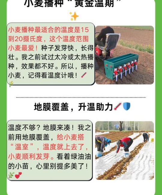 秧苗什么时候播种？春季地栽乔灌木通用指南