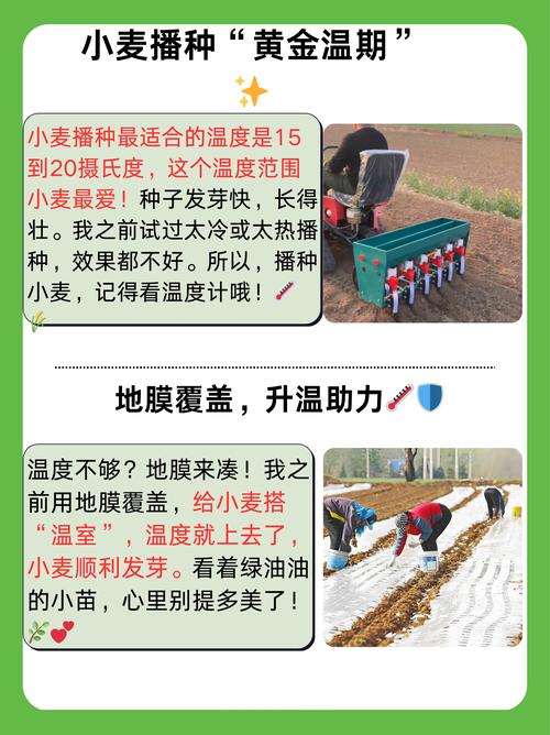 适宜时间
