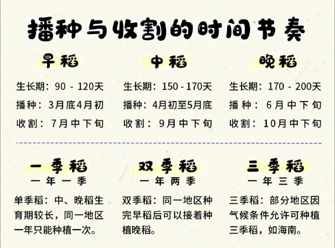 栽植深度