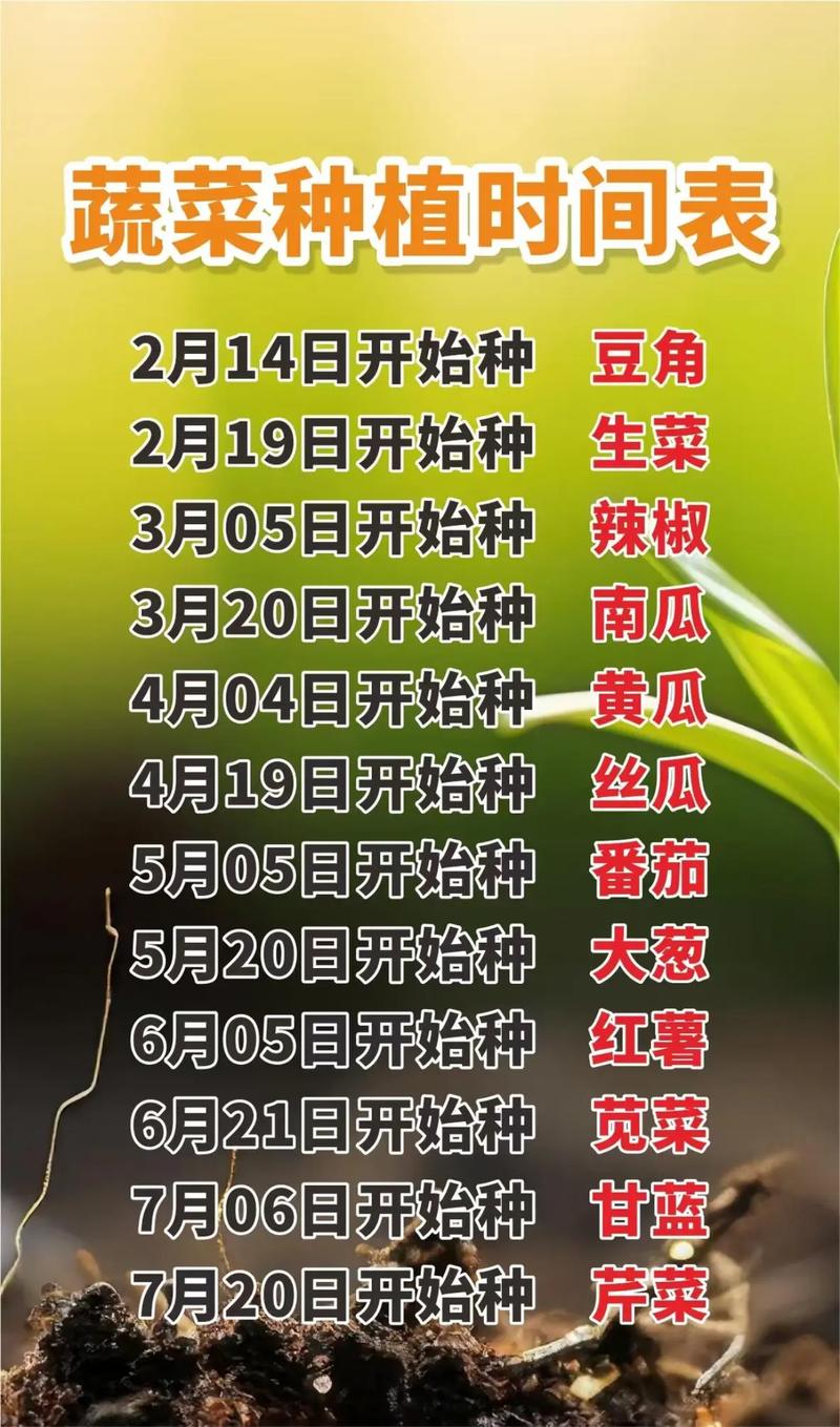 缓苗管理
