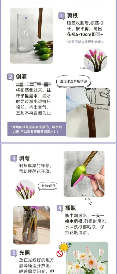 睡莲需要醒花吗?切花与盆栽睡莲的醒花与养护全指南 常见养护错误