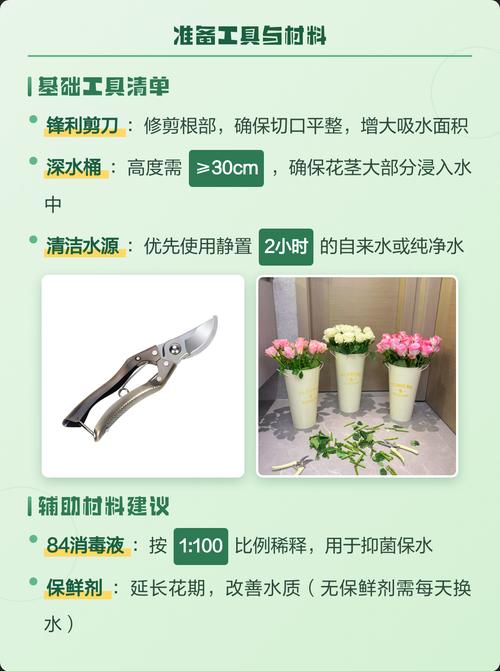 睡莲需要醒花吗?切花与盆栽睡莲的醒花与养护全指南 总结