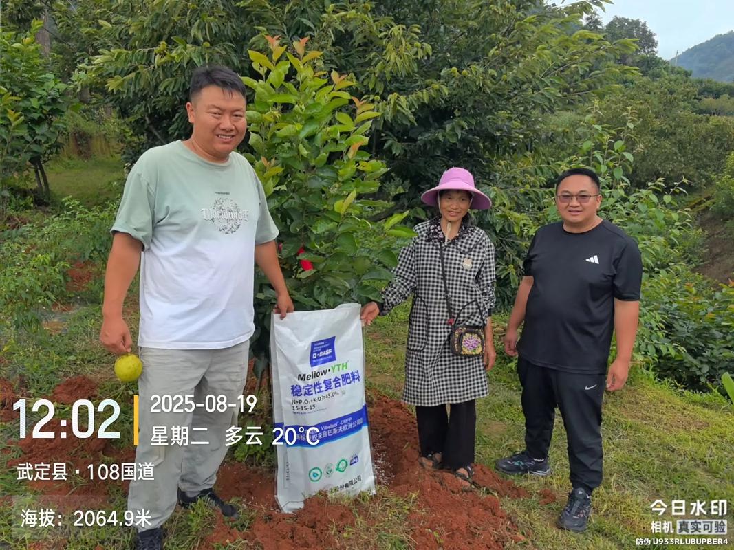 大樱桃春季施肥指南:选对肥料是丰产的第一步 春季修剪配合施肥效果更佳