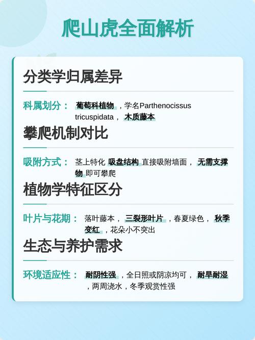 牵牛花和爬山虎不是同一种植物:从攀附方式到栽培的全方位对比 常见错误与成活检查