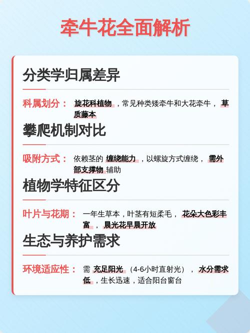 牵牛花和爬山虎不是同一种植物:从攀附方式到栽培的全方位对比 FAQ