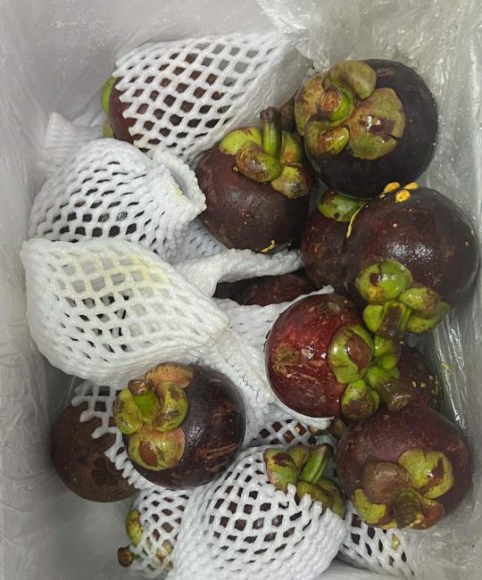 食用山竹市场价格多少钱一斤？