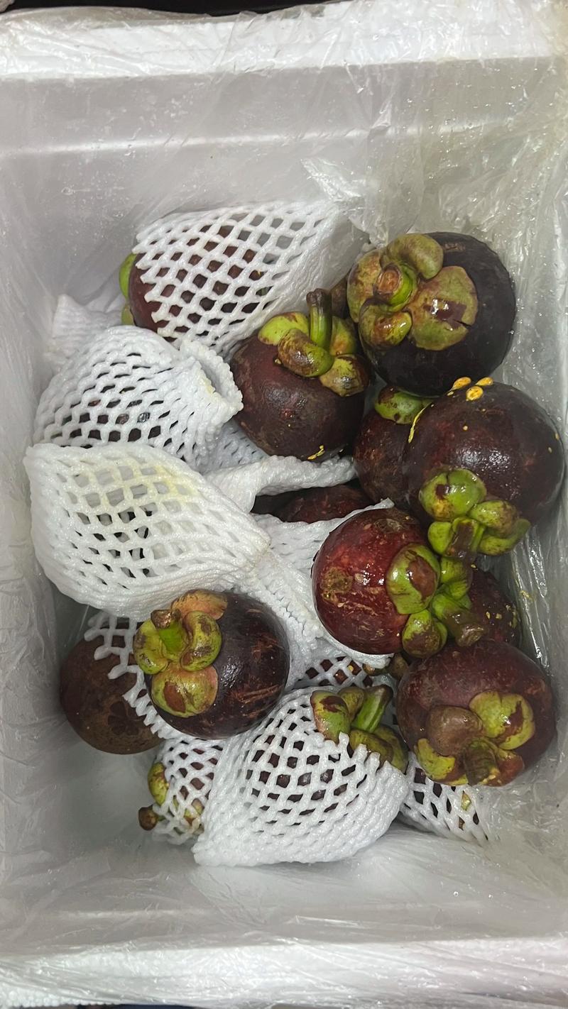 食用山竹市场价格多少钱一斤? 食用山竹市场价格多少钱一斤?