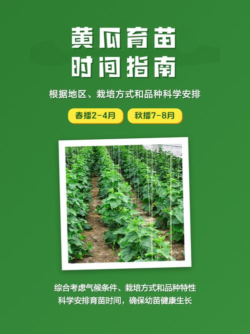 如何移栽黄瓜苗?从选时到缓苗7步指南 七、成活注意事项