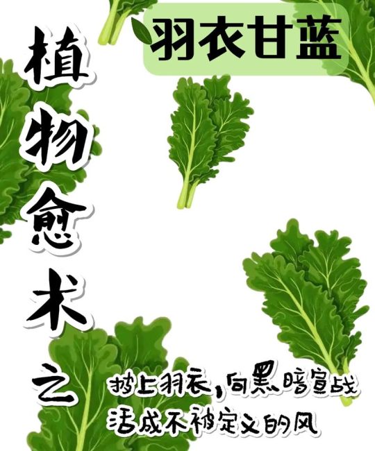 苔菜和羽衣甘蓝是一种菜吗？区别与食用指南全解析