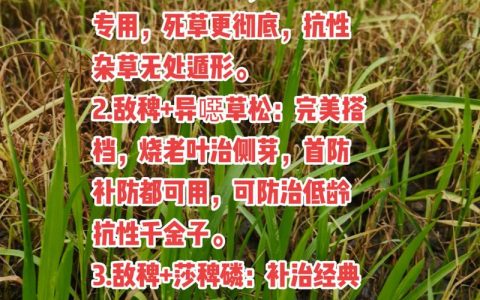 敌稗除草剂能除几种草？详解适用范围与安全使用指南