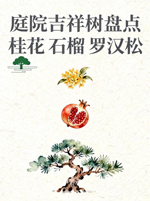 门口放什么树好?桂花、石榴、罗汉松这样选 门口养护清单