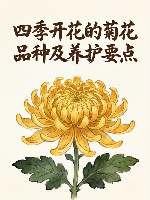 常见误区与纠正