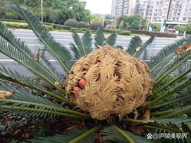 价格快速参考