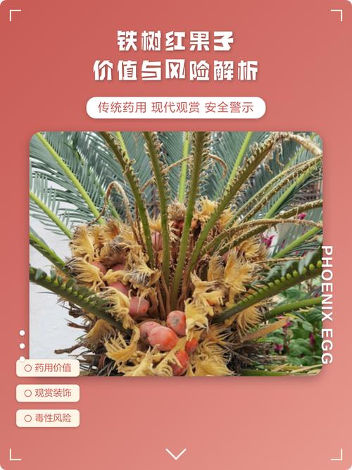 综合价格参照表（2025年参考）