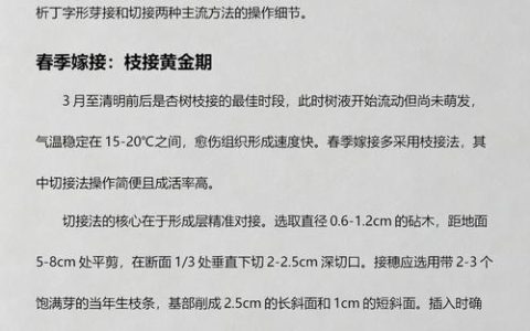 杏树嫁接成活率超90%的核心技术：品种匹配与操作步骤详解