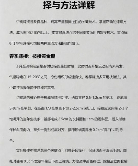 杏树嫁接成活率超90%的核心技术：品种匹配与操作步骤详解