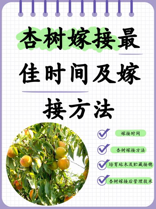 关键控制点：三个决定成活率的细节