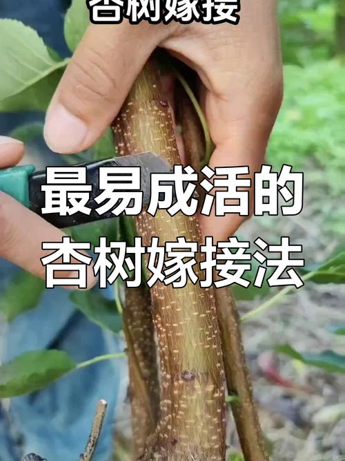 常见错误诊断与补救