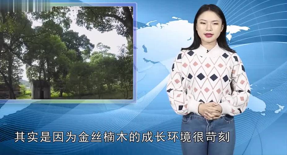 金丝楠木值钱吗?从园艺视角解读其价值与养护要点 种植与养护要点:慢工出细活