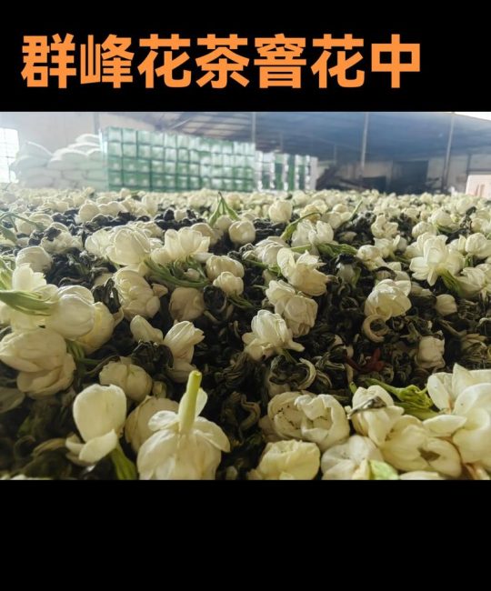 茶叶渣种花全攻略：从土壤改良到缓苗，7步走提高成活率