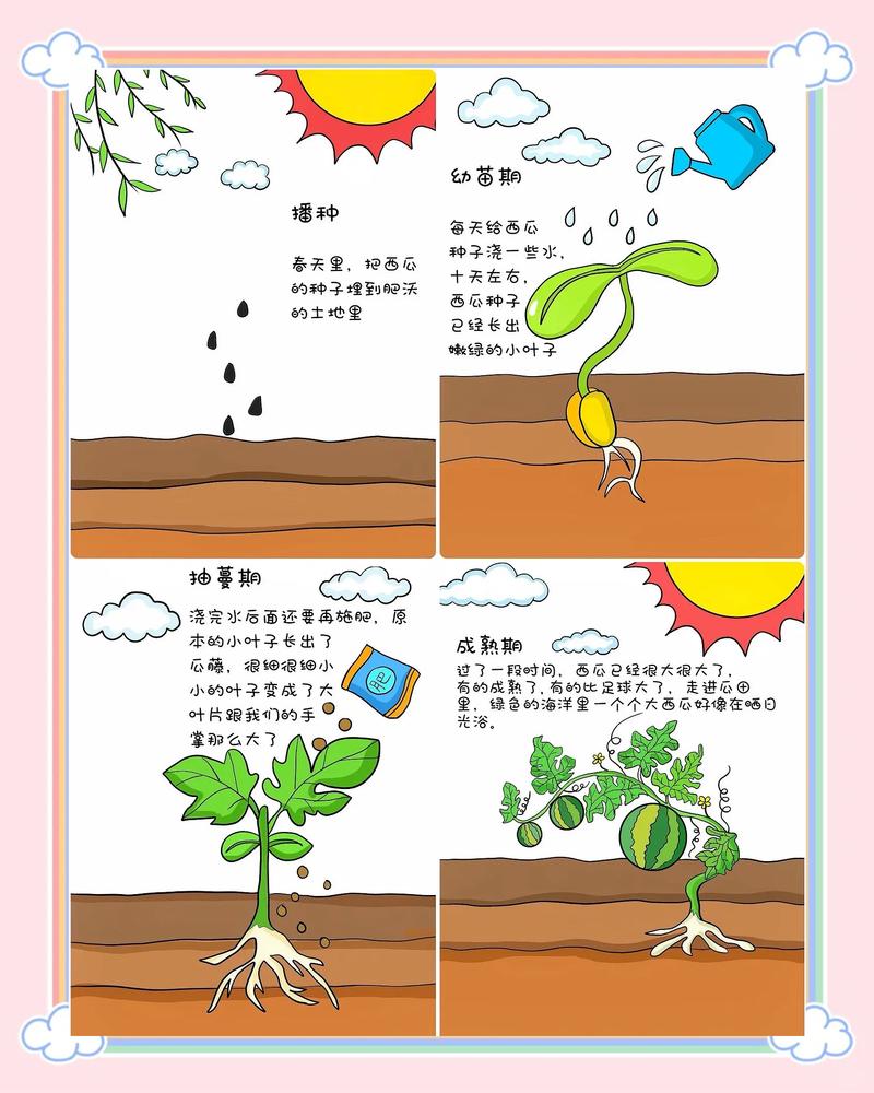 西瓜可以室内种植吗?科学指南与实操方案 三、光照与温度:室内种植的“硬门槛”