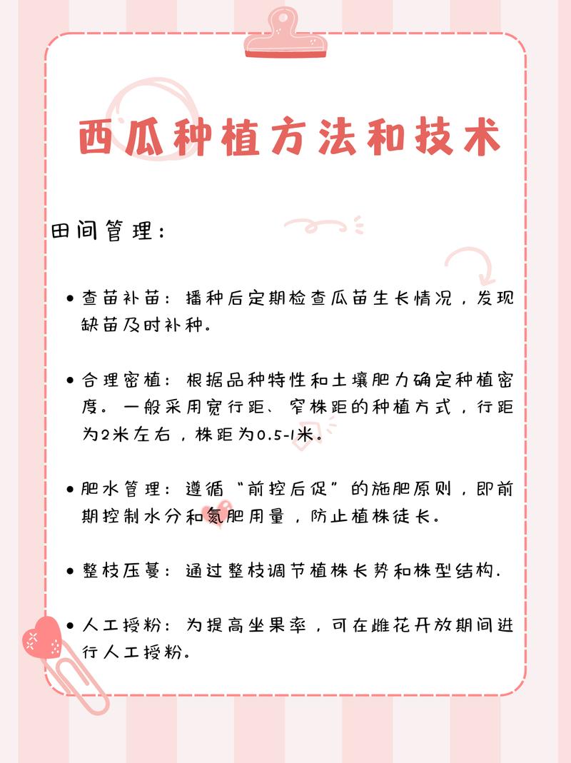 西瓜可以室内种植吗?科学指南与实操方案 四、播种与定植:从种子到小苗