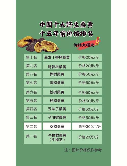 人工种植的桑黄菌价格多少钱一斤?2025年最新报价参考 数量影响价格