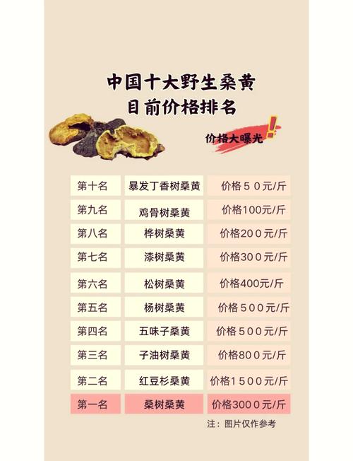 人工种植的桑黄菌价格多少钱一斤?2025年最新报价参考 咨询指南