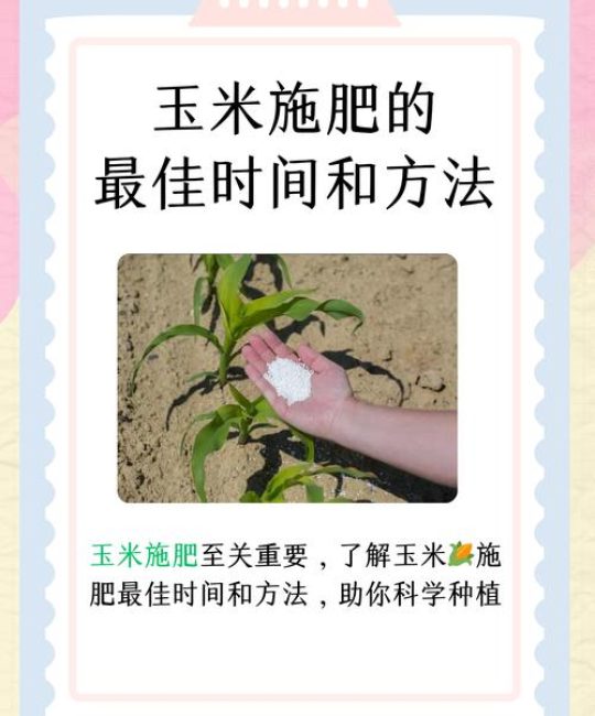 玉米叶面肥什么时候打效果好？掌握3个黄金时期，亩产轻松提升