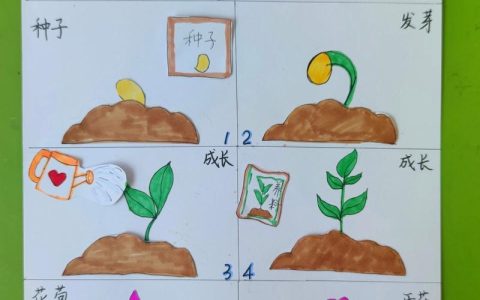 种子是怎么发育来的？从花朵到种子的奇妙旅程