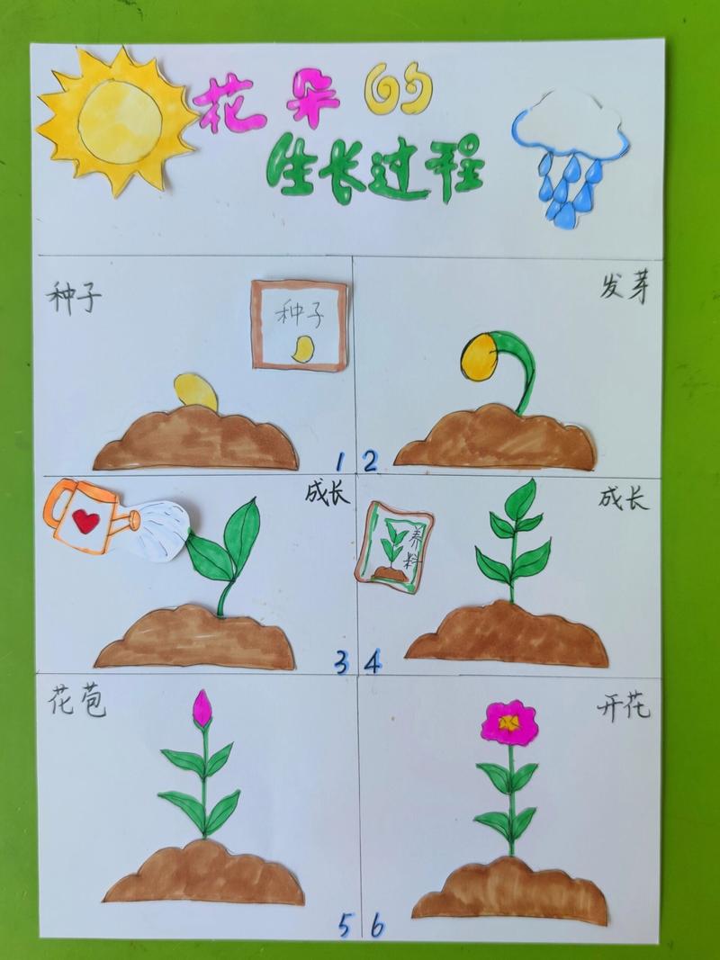种子是怎么发育来的?从花朵到种子的奇妙旅程 种子是怎么发育来的?从花朵到种子的奇妙旅程