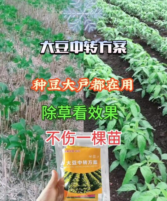 精喹禾灵除草剂除草范围及安全使用指南
