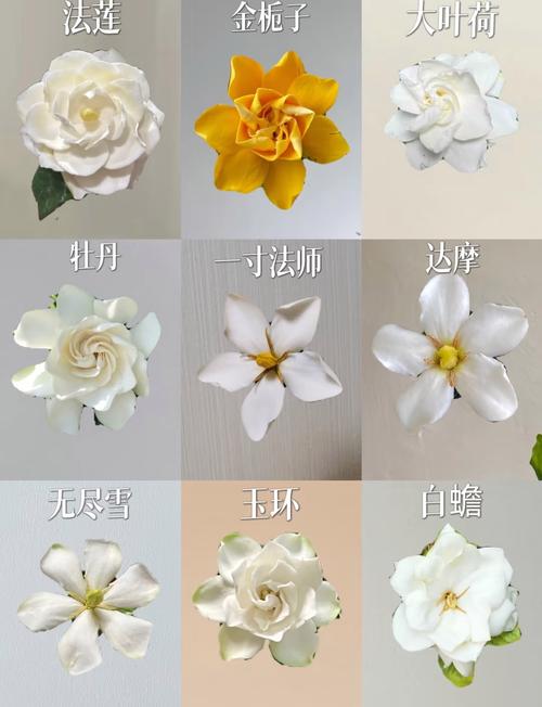 栀子花和山茶花哪个味道好闻?香味对比与养护指南 越冬与越夏管理:保护香味来源