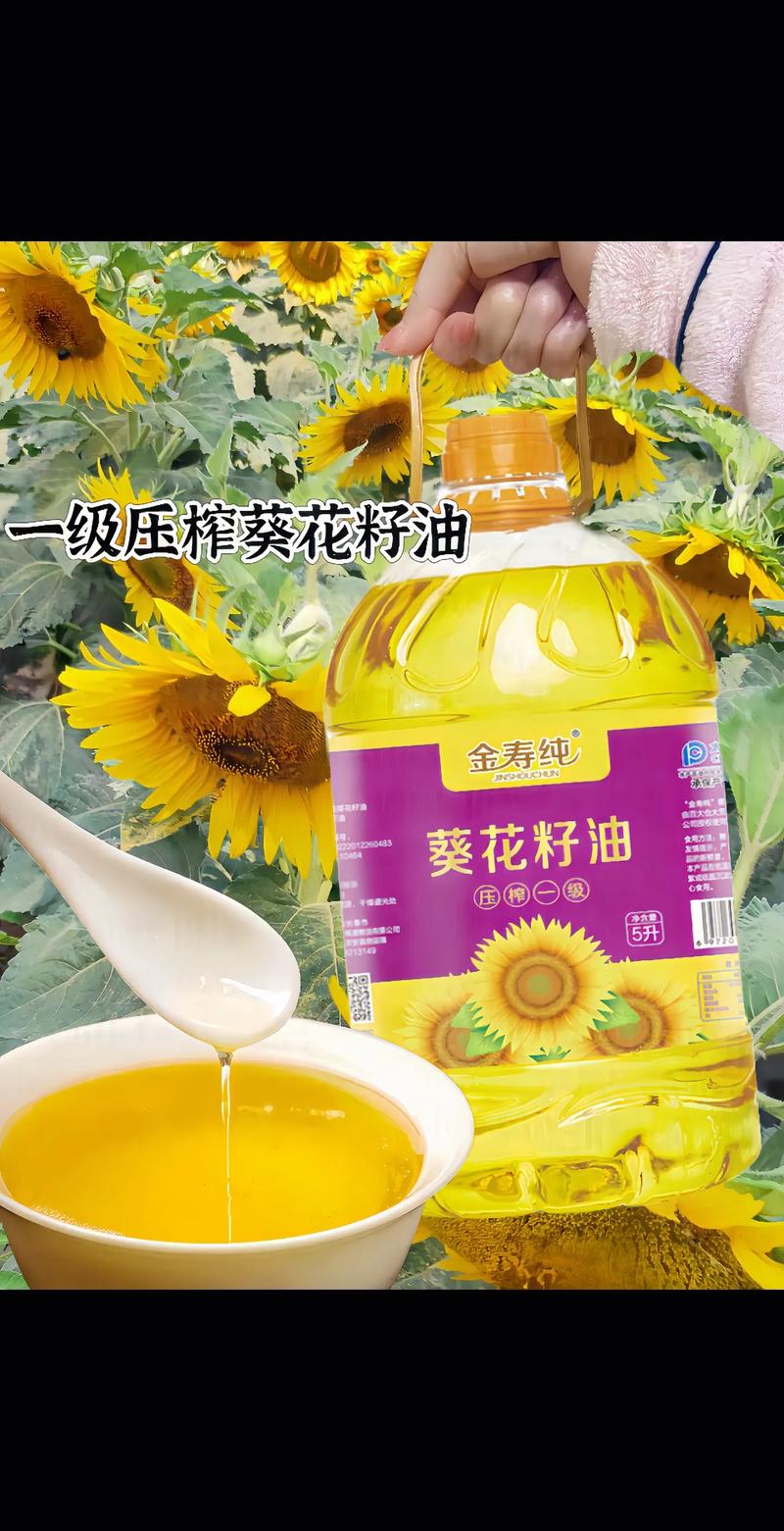 向日葵种植与自榨葵花籽油:油炸的可行性全解析 一、向日葵的园艺种植要点