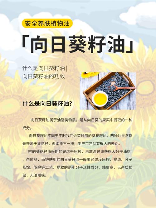 向日葵种植与自榨葵花籽油:油炸的可行性全解析 总结