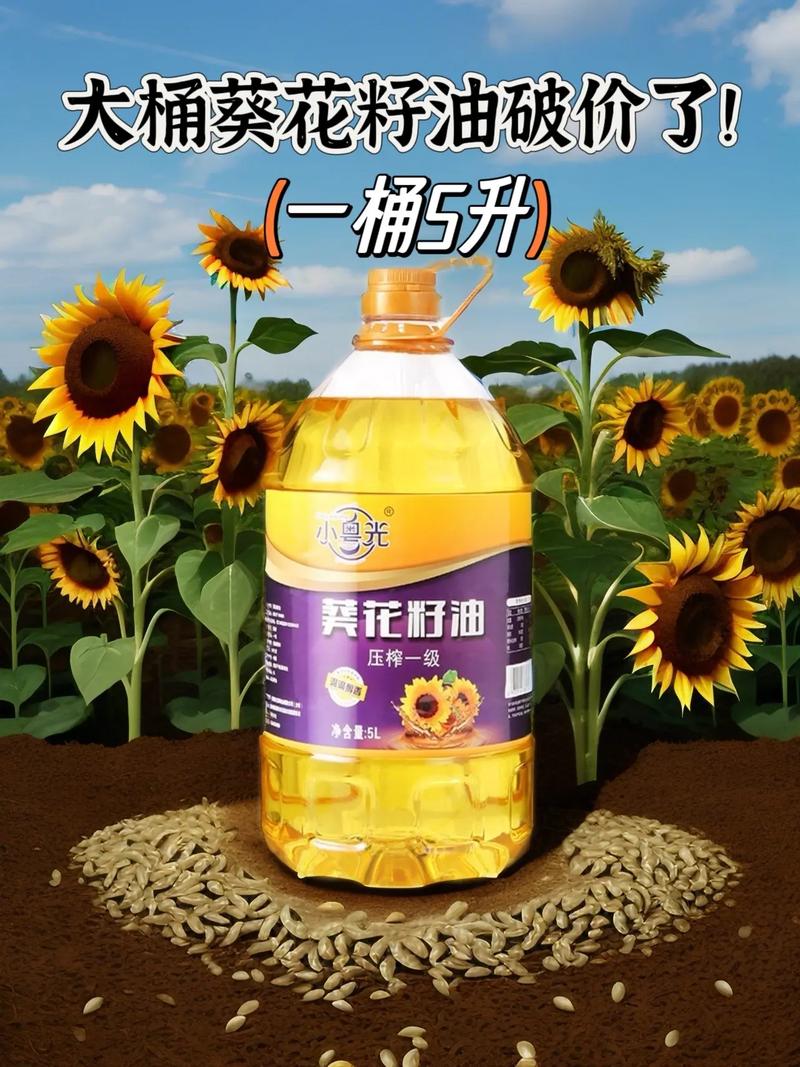 向日葵种植与自榨葵花籽油:油炸的可行性全解析 四、园艺与烹饪的完美结合