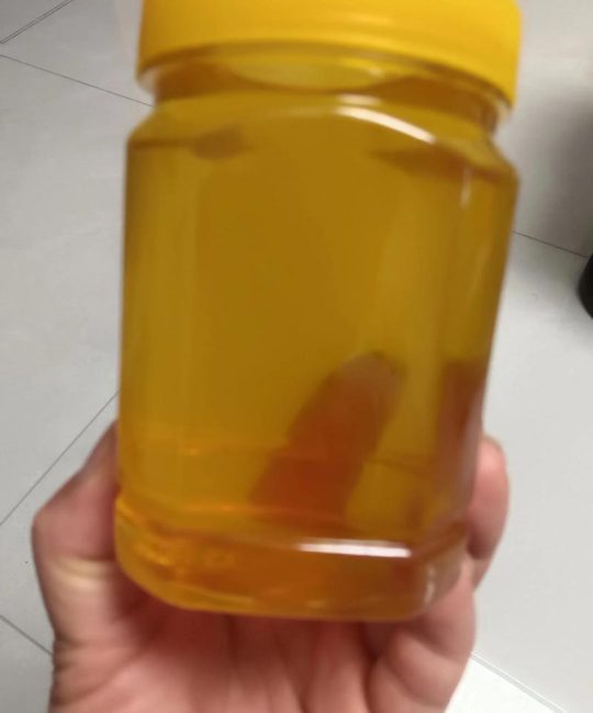 女贞子蜂蜜是几级蜜？女贞绿篱修剪与种植技术详解
