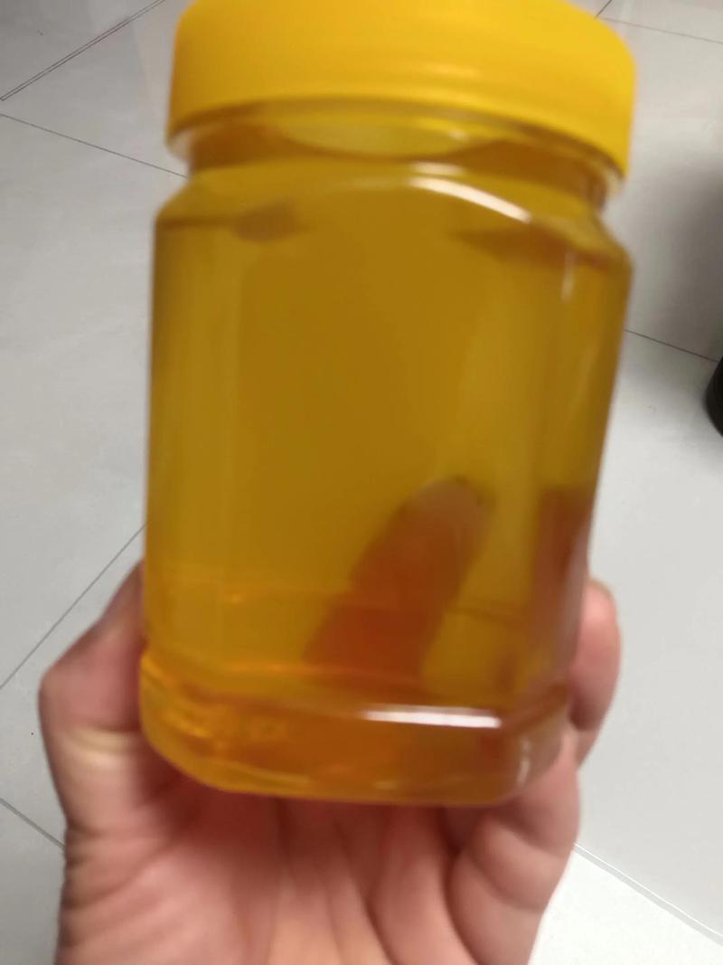 女贞子蜂蜜是几级蜜?女贞绿篱修剪与种植技术详解 女贞子蜂蜜是几级蜜?女贞绿篱修剪与种植技术详解