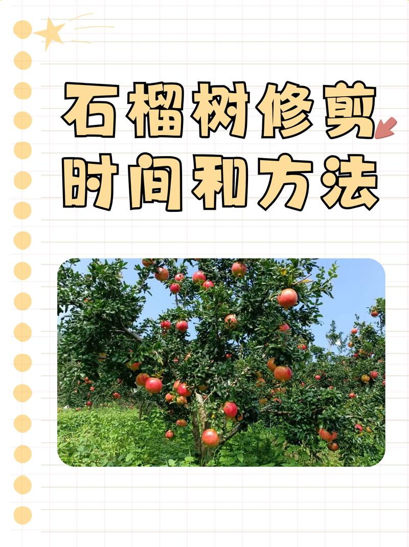什么季节修剪树木最合适?先看树种,再看生长状态 越冬越夏:极端季节少重剪,重在保活和恢复