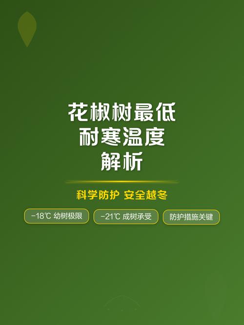 花椒树耐寒多少度?地域化种植实操指南 三、光照水分需求