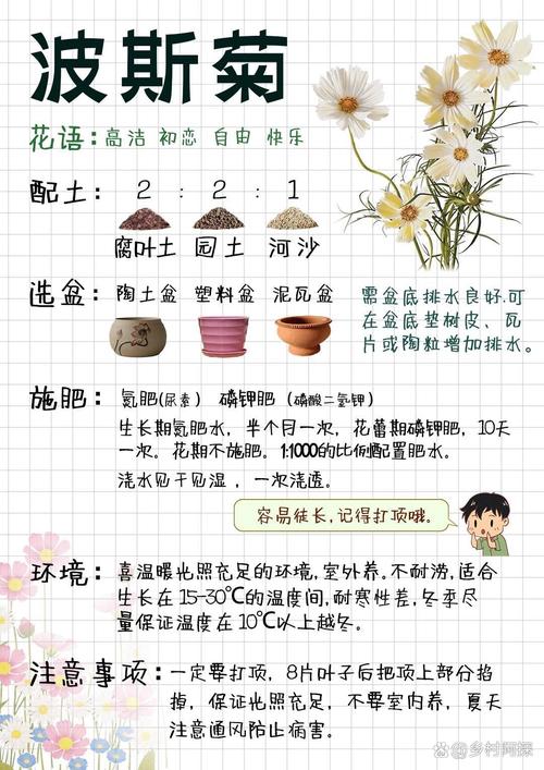 家里可以种波斯菊吗?阳台党与庭院主的完整种植指南 三、栽前处理:种子和幼苗的准备