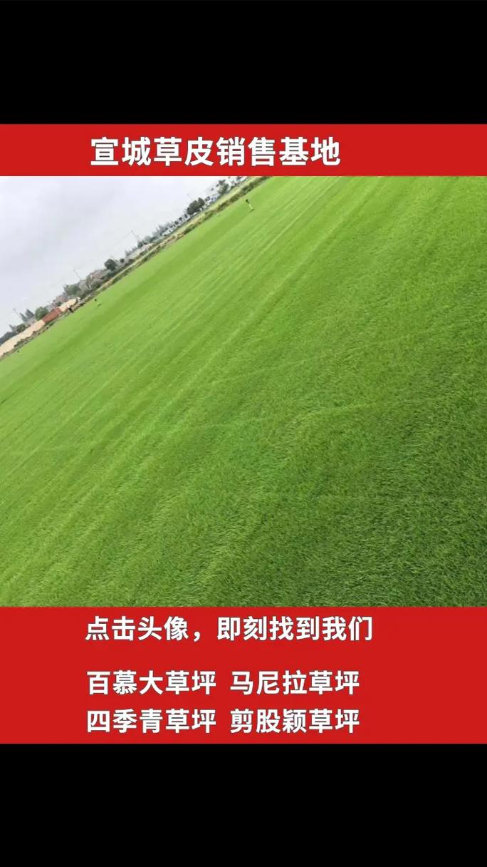 小区绿化草皮多少钱一平方?2026年混播草坪价格参考及影响因素分析 季节波动规律