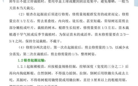 银杏树苗如何栽种？七个步骤提高成活率，附详细参数标准