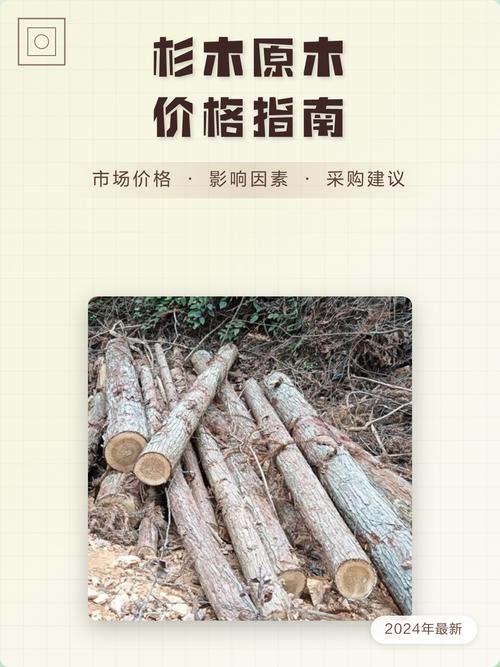杉木多少钱一棵?2024年最新价格参考与影响因素全解析 常见问题(FAQ)