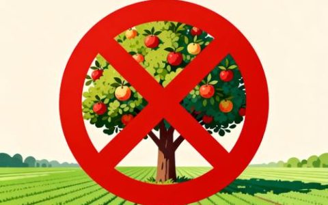 一般基本农田能种果树吗？答案明确：不能，违法后果严重