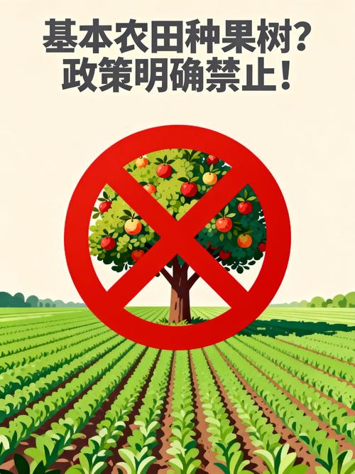 一般基本农田能种果树吗?答案明确:不能,违法后果严重 一般基本农田能种果树吗?核心结论:不能,禁止占用基本农田发展林果业