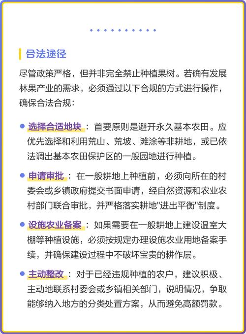 一般基本农田能种果树吗?答案明确:不能,违法后果严重 总结:基本农田种果树,违法风险高,切勿尝试