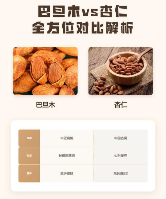 巴旦木就是杏仁吗？一文看懂巴旦木与杏仁的区别与营养