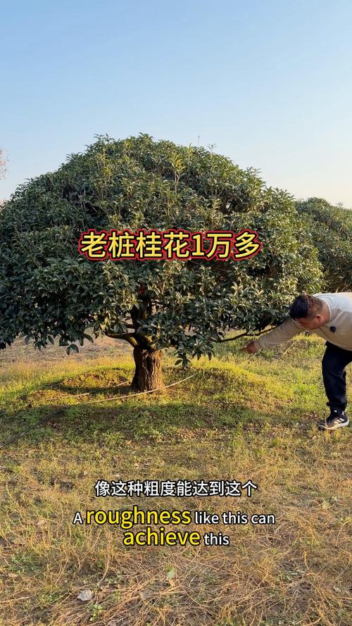 三、北方种植时间窗口
