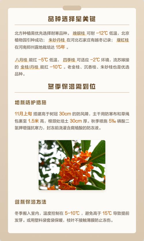 四、土壤环境与栽植深度